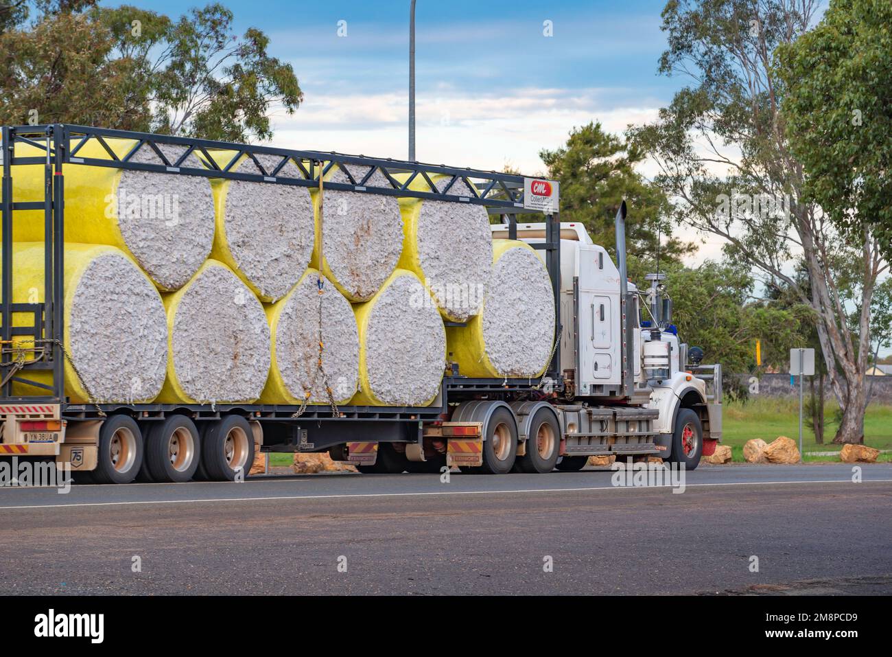 De grandes balles de coton brut roulées de couleur jaune transportées par route sur un semi-remorque à Nyngan, dans le nord-ouest de la Nouvelle-Galles du Sud, en Australie Banque D'Images