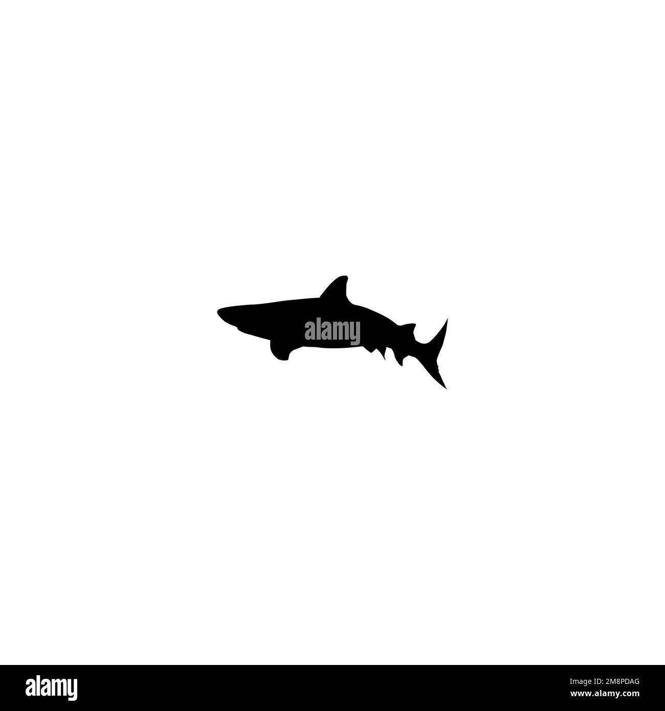 Icône requin. Affiche d'arrière-plan de style simple de l'agence de voyage en mer. Élément de conception du logo de la marque Shark. Impression de t-shirts à motif requin. vecteur pour autocollant. Illustration de Vecteur
