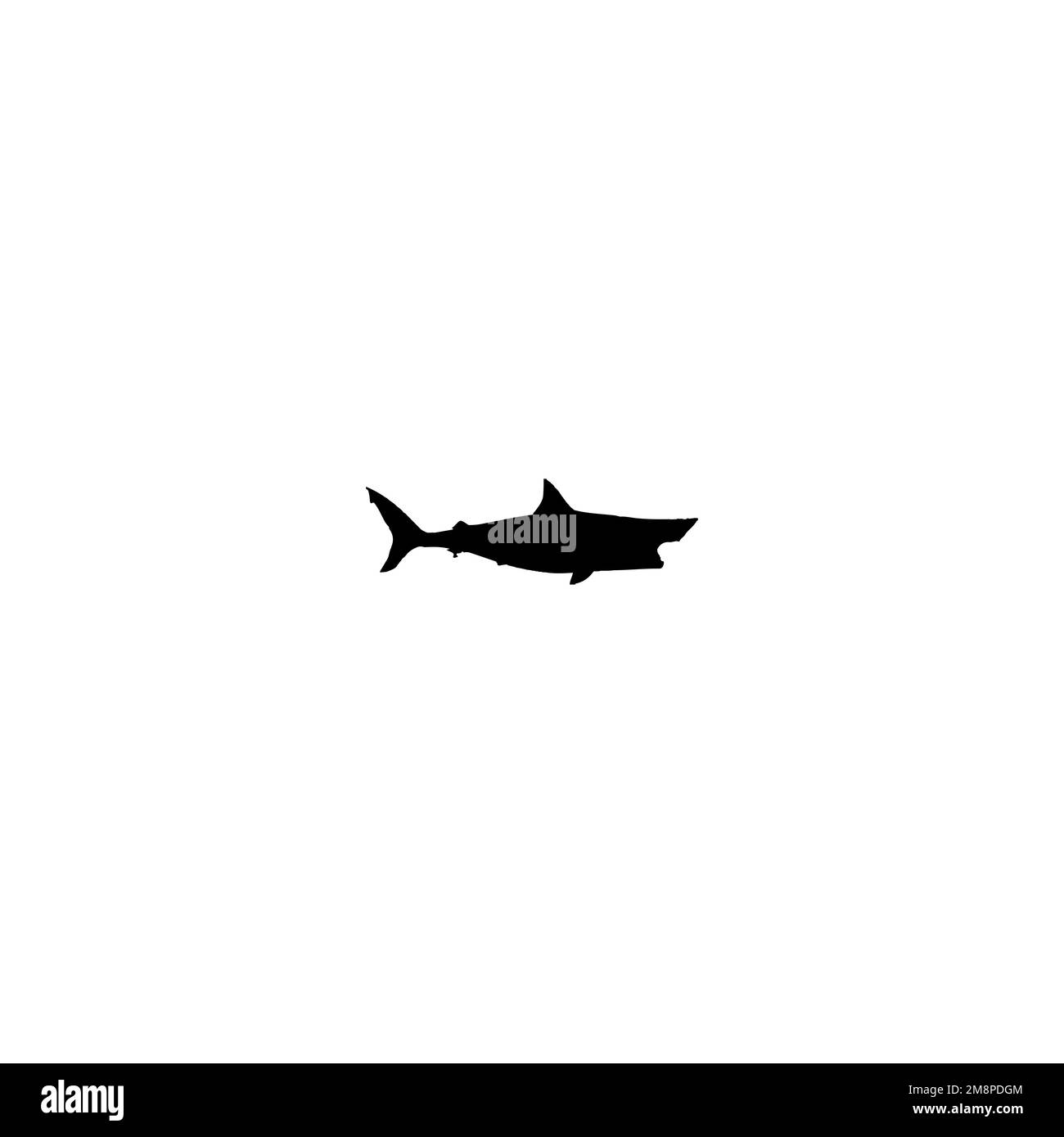 Icône requin. Affiche d'arrière-plan de style simple de l'agence de voyage en mer. Élément de conception du logo de la marque Shark. Impression de t-shirts à motif requin. vecteur pour autocollant. Illustration de Vecteur