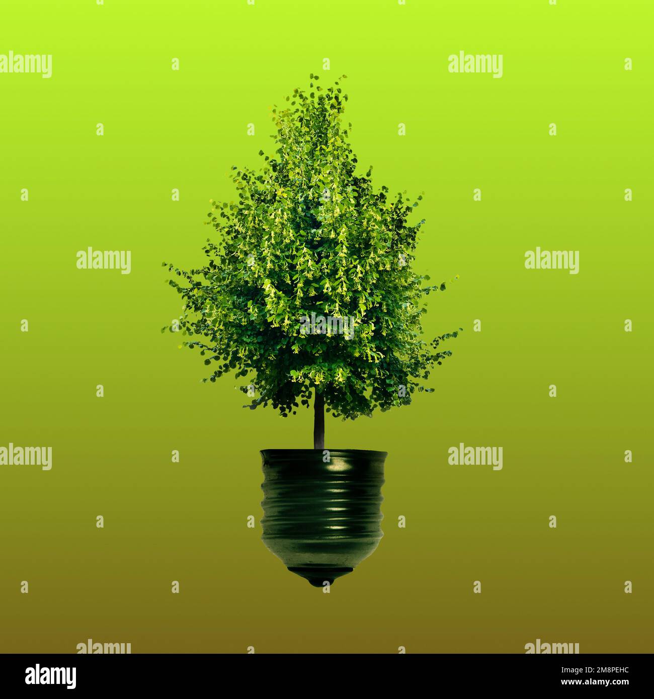 arbre vert sortant de la base d'une ampoule électrique Banque D'Images