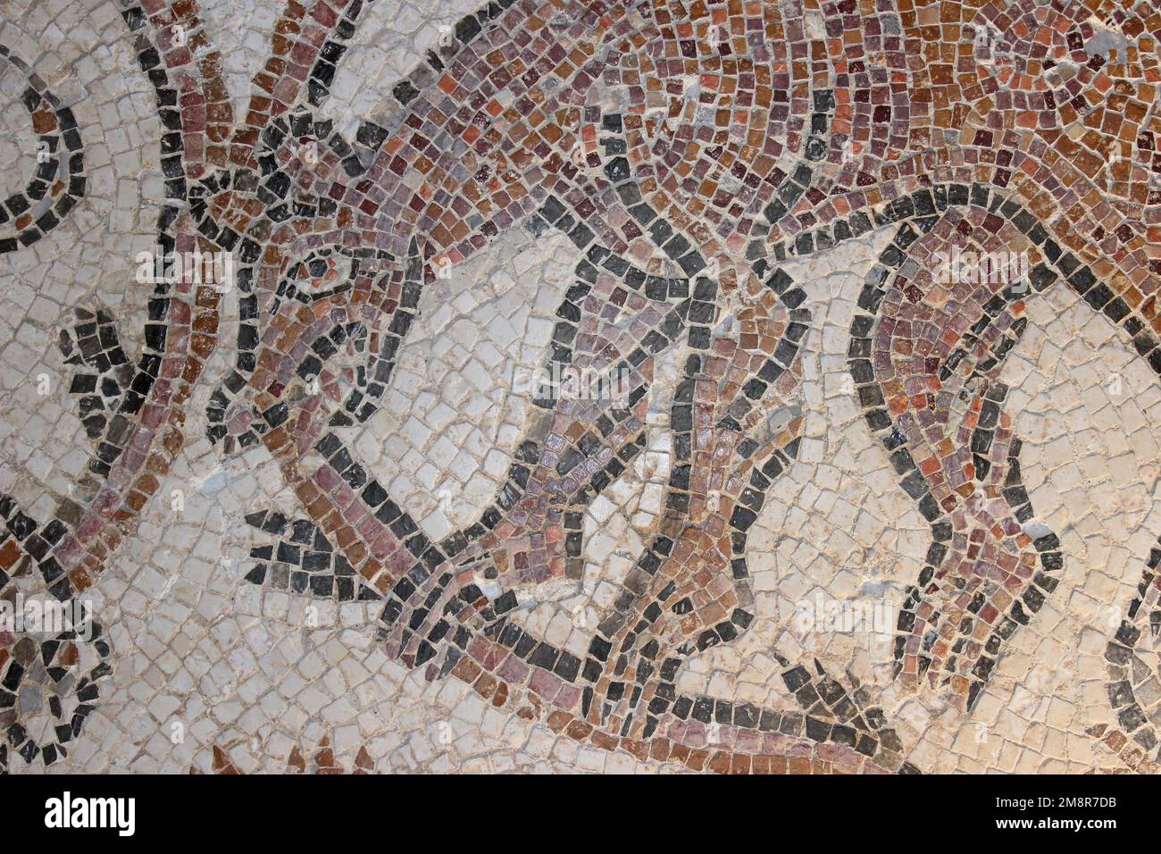 Château d'Ajloun, Jordanie - mosaïque byzantine d'un chien mangeant un serpent Banque D'Images