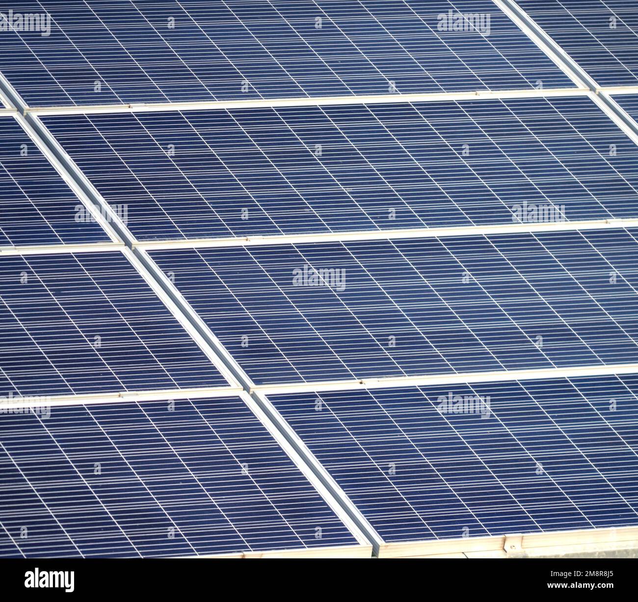 Grands panneaux solaires centrales solaires. Énergie verte. Production d'énergie solaire. Production d'électricité solaire. Énergies renouvelables. Panneaux photovoltaïques bleus. Production d'électricité écologique Banque D'Images
