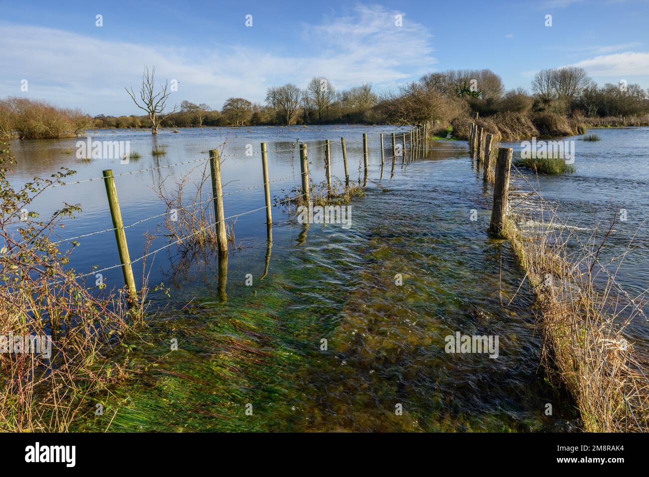 Fordingbridge, Hampshire, Royaume-Uni, 15th janvier 2023, Météo : soleil sur les zones de basse altitude inondées. Les avertissements d'inondation couvrent les zones proches de la rivière Avon où les inondations ont rendu de nombreux sentiers impraticables. Crédit : Paul Biggins/Alamy Live News Banque D'Images