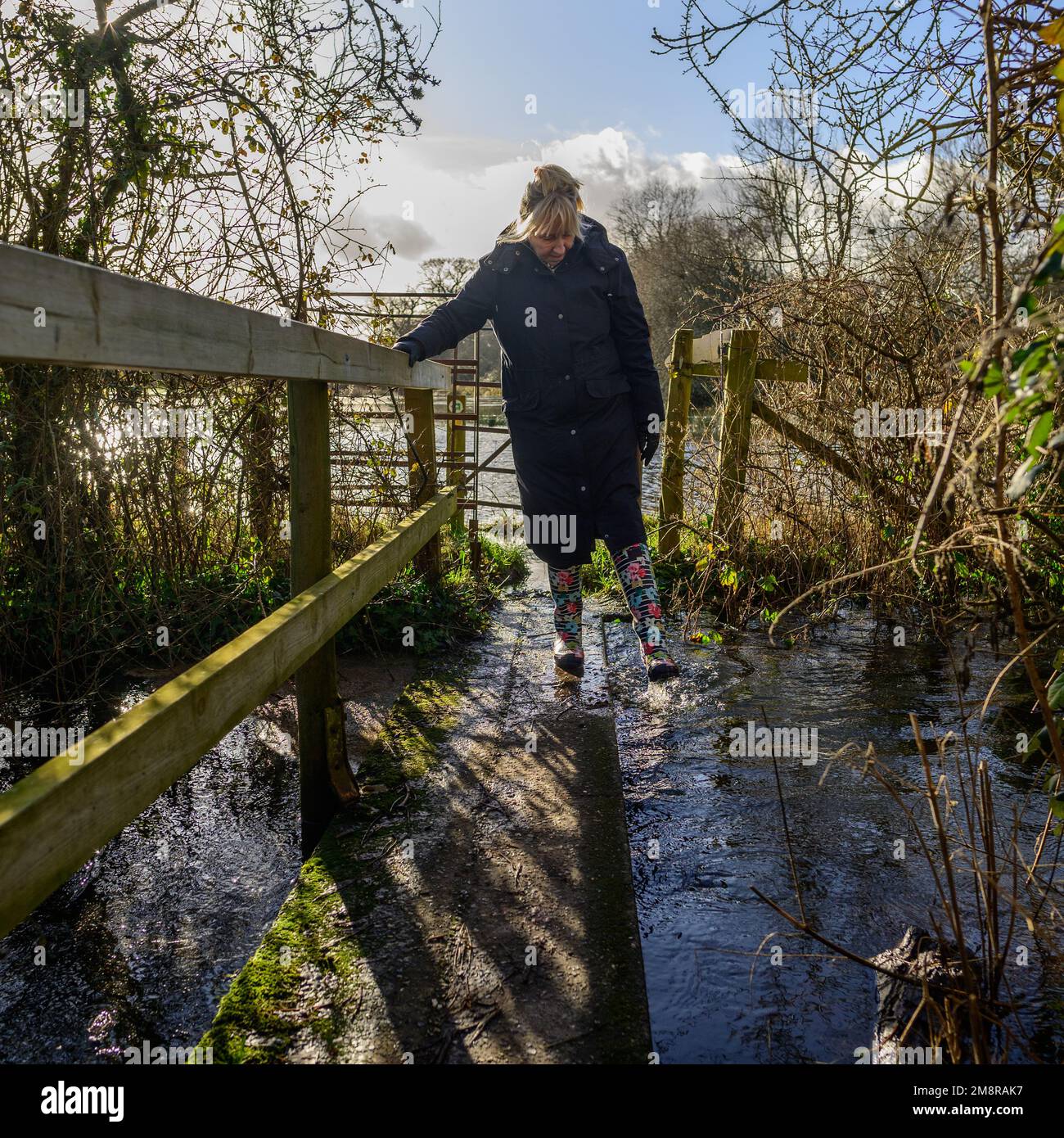 Fordingbridge, Hampshire, Royaume-Uni, 15th janvier 2023, Météo : soleil sur les zones de basse altitude inondées. Les avertissements d'inondation couvrent les zones proches de la rivière Avon où les inondations ont rendu de nombreux sentiers impraticables. Crédit : Paul Biggins/Alamy Live News Banque D'Images