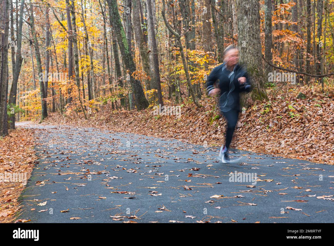 Une femme qui fait du jogging dans un parc pittoresque du nord de la Géorgie se déplace sur fond de joli feuillage d'automne. Banque D'Images