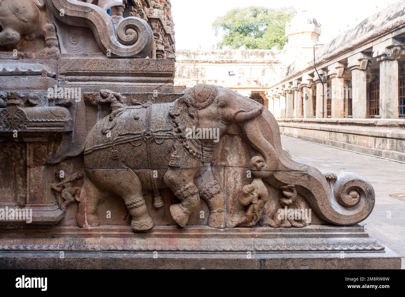 Sculpture d'éléphant sur les murs des marches du temple de Thanjavur Banque D'Images