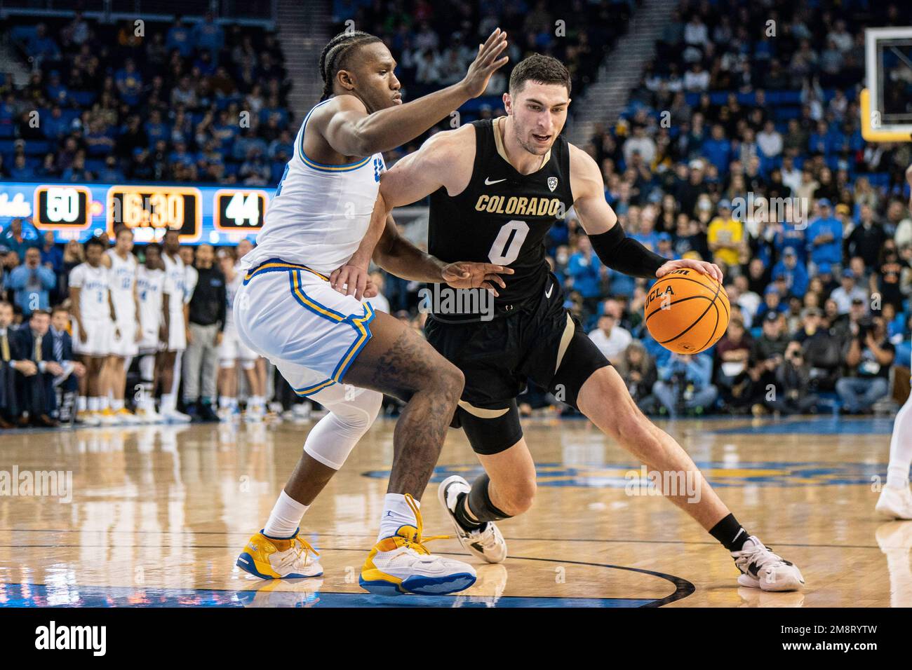 Les Buffaloes du Colorado gardent Luke O'Brien (0) contre le garde des Bruins de l'UCLA David Singleton (34) lors d'un match de basket-ball de la NCAA, samedi, 14 janvier, 2 Banque D'Images