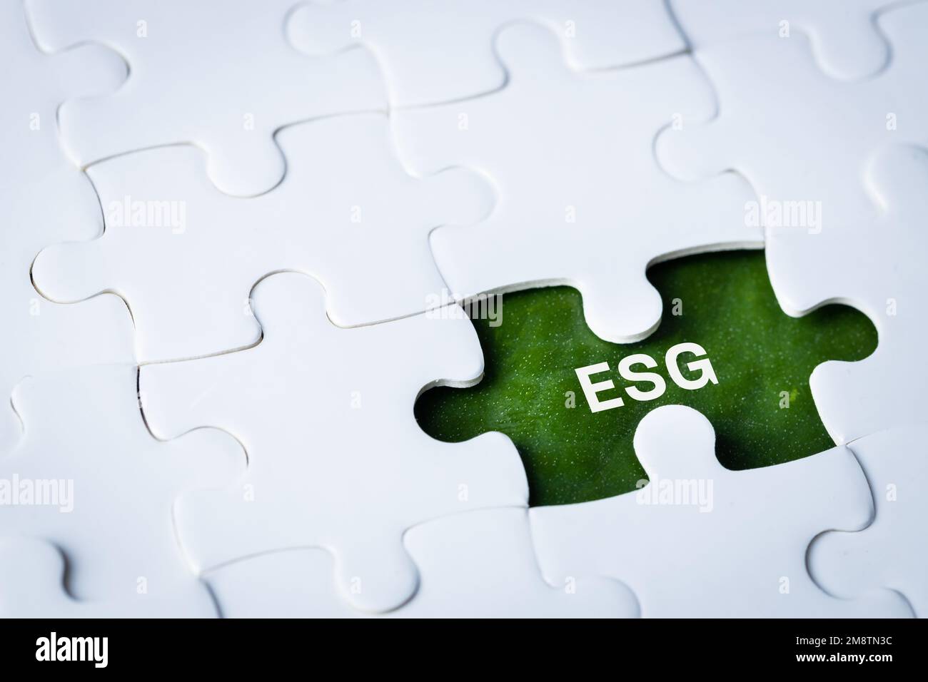 Concept environnemental, social et de gouvernance ESG. Mot ESG sur un puzle, idée de développement durable de l'organisation. prenez en compte l'env Banque D'Images