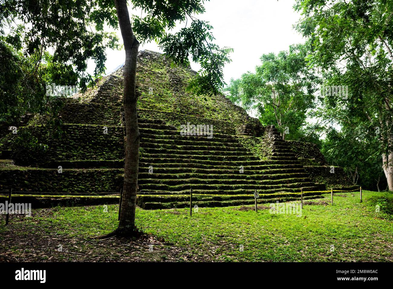 Pyramide maya dans le parc national de Yaxha Banque D'Images