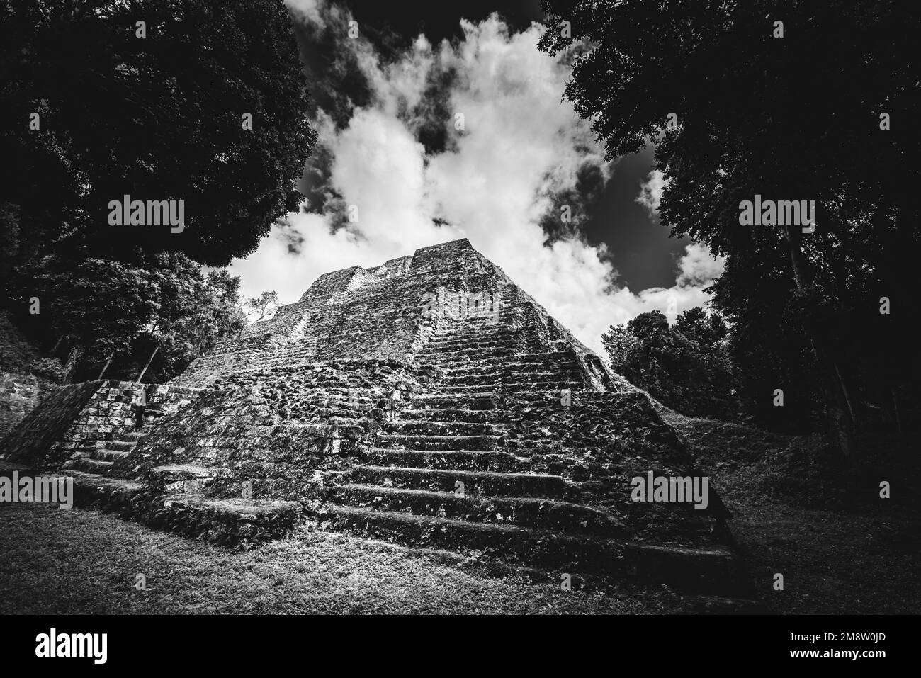 pyramide maya dans le parc national de Yaxha en noir et blanc Banque D'Images
