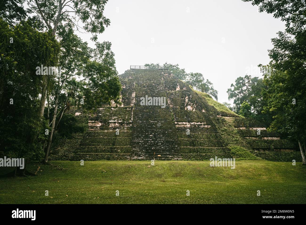 Pyramide du monde perdu dans la ville maya de Tikal Banque D'Images