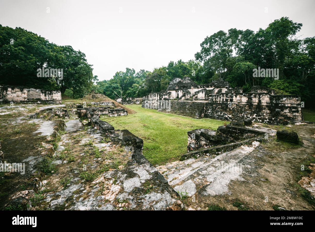 Ruines de l'acropole centrale de Tikal Banque D'Images