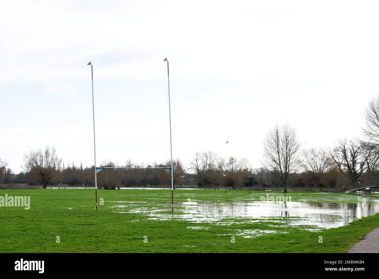 Terrain de sport inondé après une forte pluie, le champ est rempli d'eau Banque D'Images