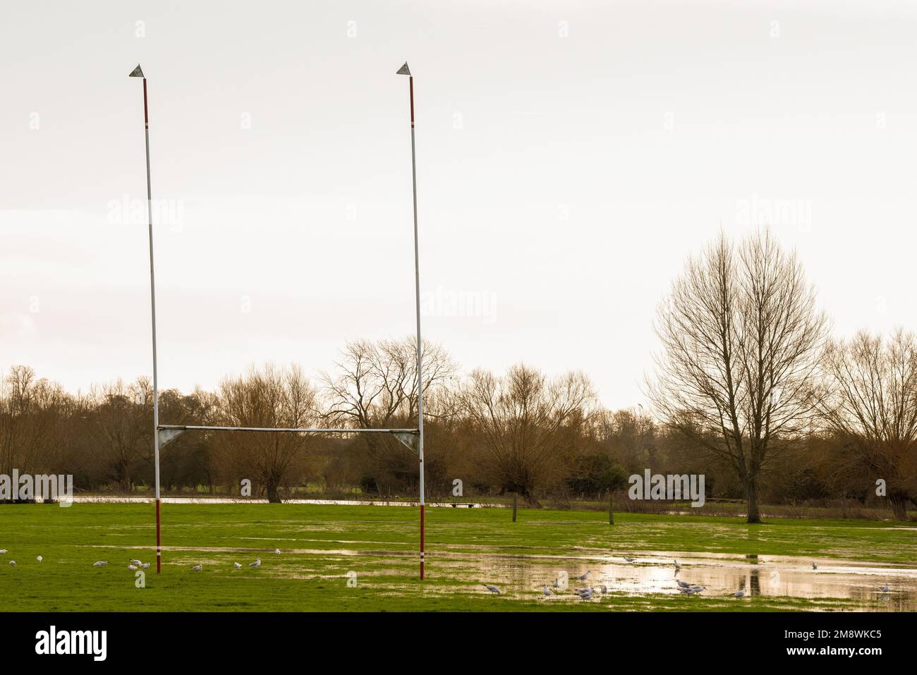 Terrain de sport inondé après une forte pluie, le champ est rempli d'eau Banque D'Images