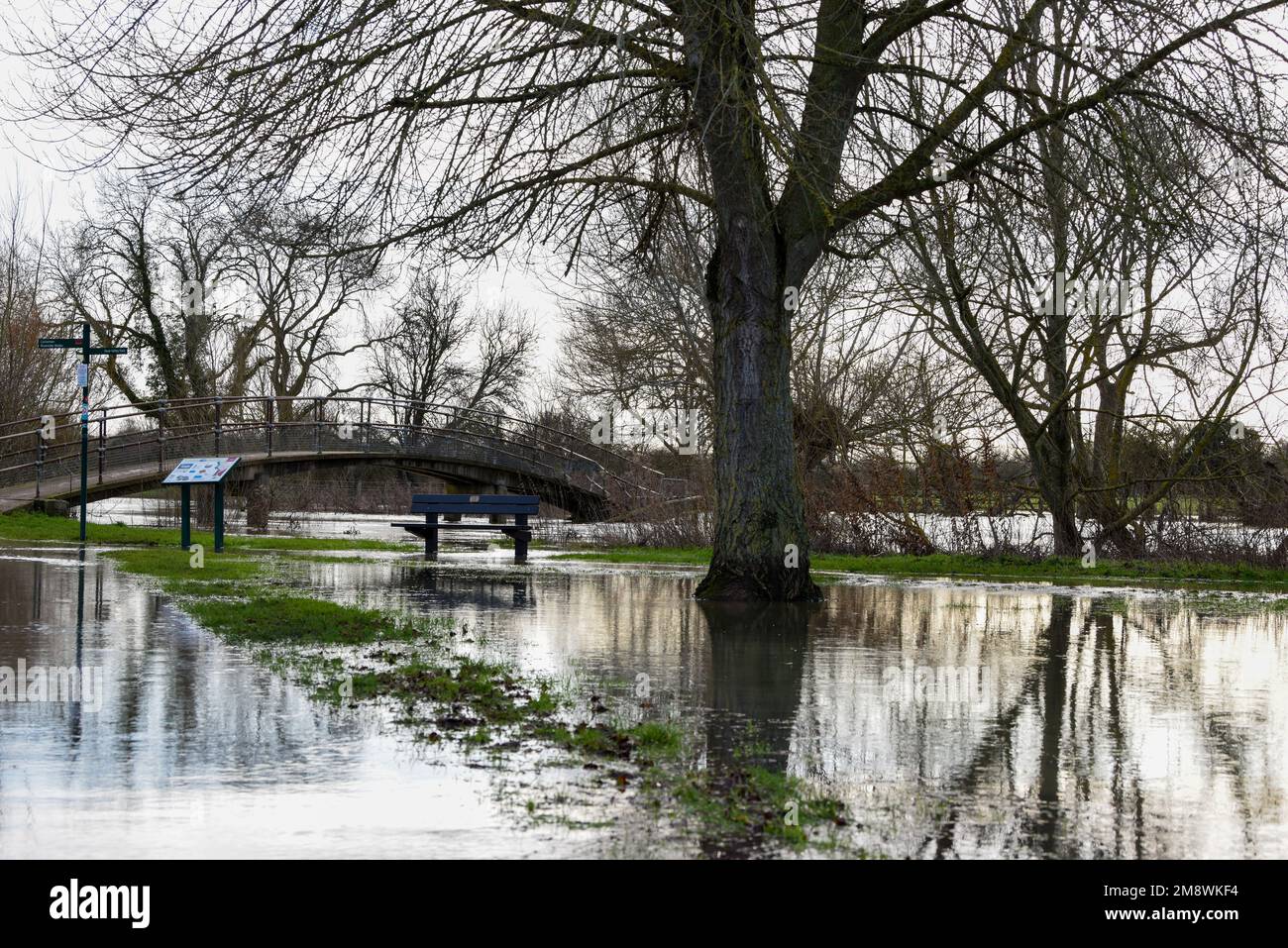 Inondation d'eau dans un parc public après que les rives de la rivière ont éclaté de fortes pluies Banque D'Images
