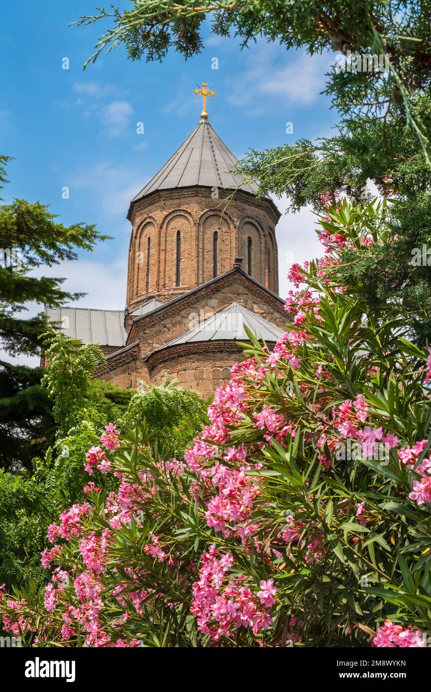 Dômes de l'église Metekhi en fleurs dans la vieille ville de Tbilissi