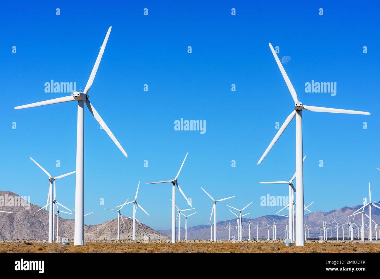 Parc éolien pour le renouvellement de l'énergie au col de San Gorgonio depuis Indian Canyon Road près de Palm Springs, Californie, États-Unis. Banque D'Images