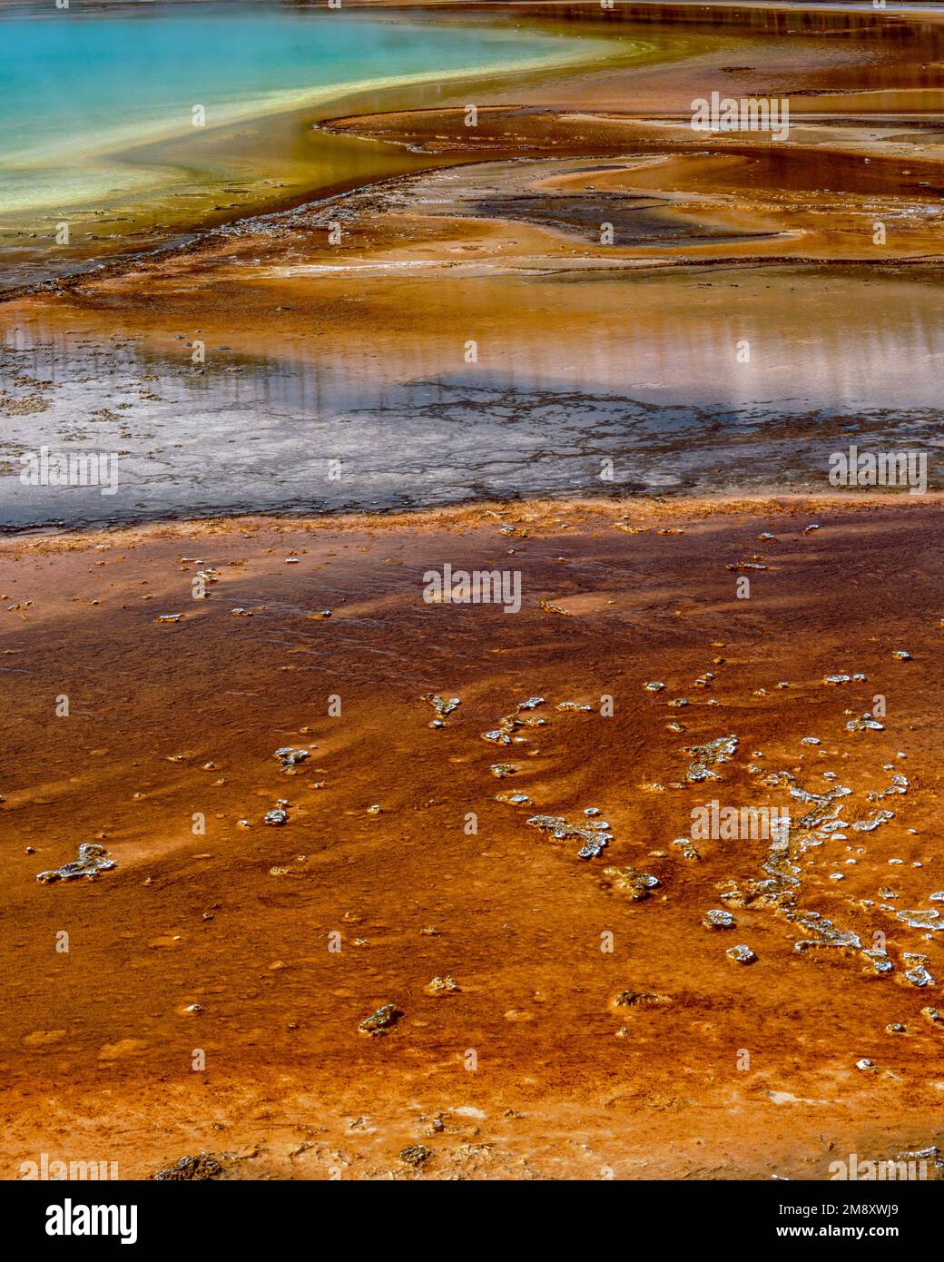 Grand Prismatic Spring, Midway Geyser Basin, Parc National de Yellowstone, Wyoming Banque D'Images
