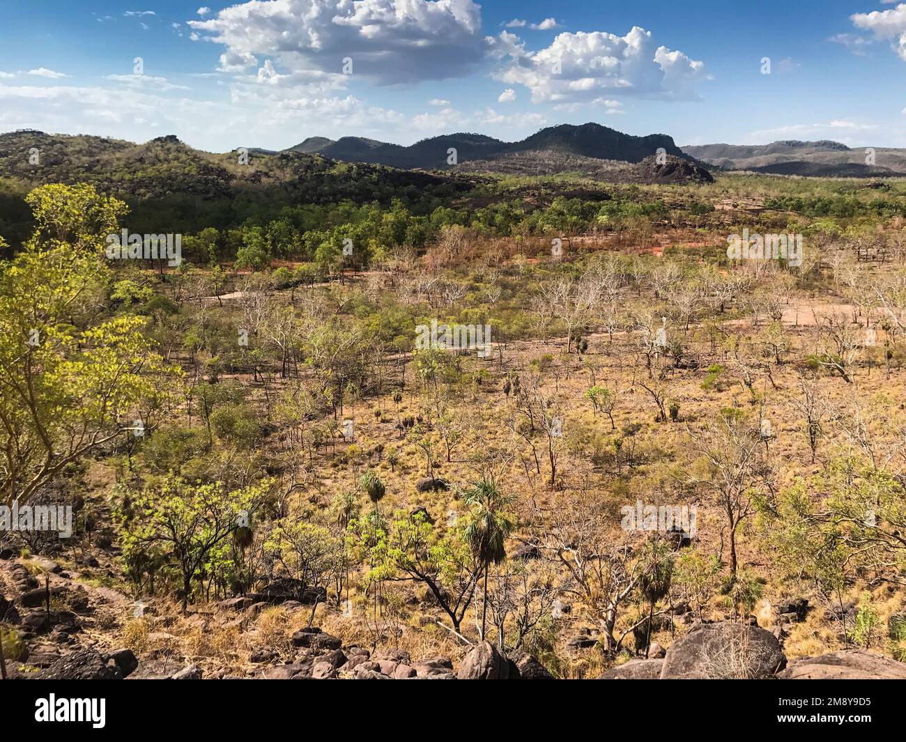 Vue depuis le point de vue de Yurmikmik, parc national de Kakadu, territoire du Nord, Australie Banque D'Images