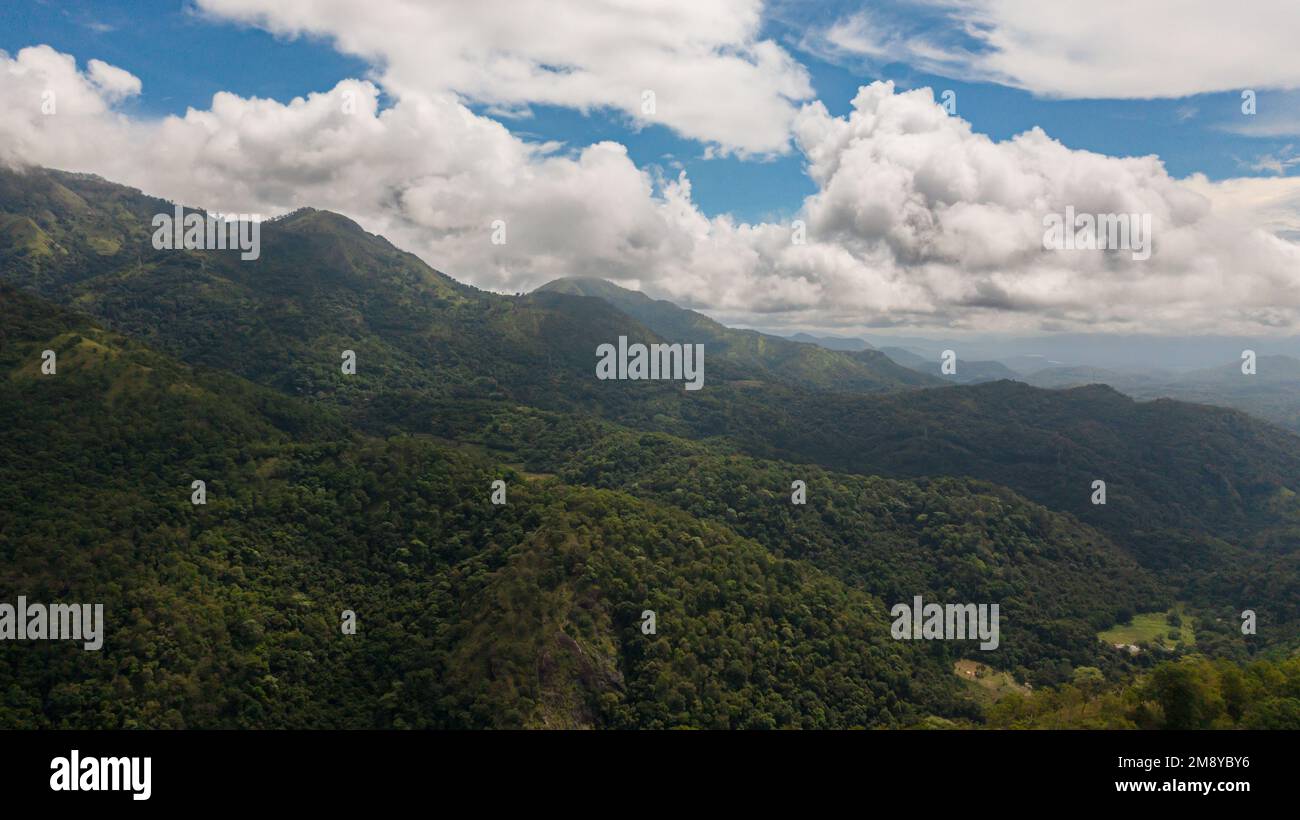 Sommets de montagne couverts de forêt par le dessus. Banque D'Images