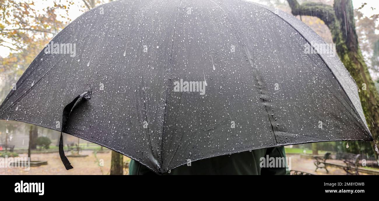 Homme mature couvert d'un grand parapluie noir. Gouttes de pluie épaisses coulissantes visibles Banque D'Images