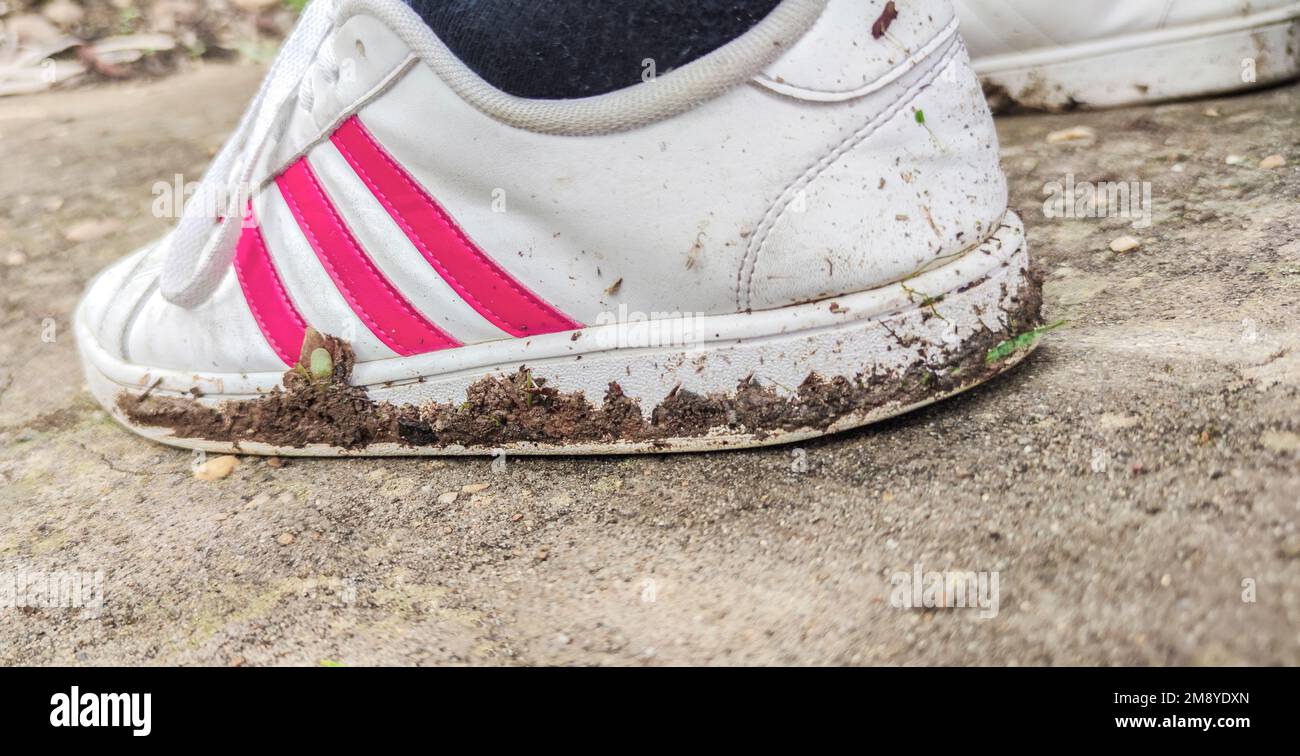 Baskets blanches et neuves tachées de boue. Chaussures inappropriées pour marcher à la campagne Banque D'Images