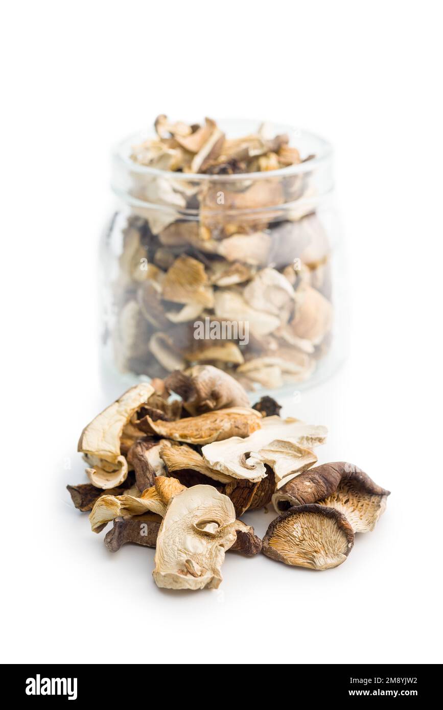 Divers champignons séchés en tranches isolés sur fond blanc. Banque D'Images
