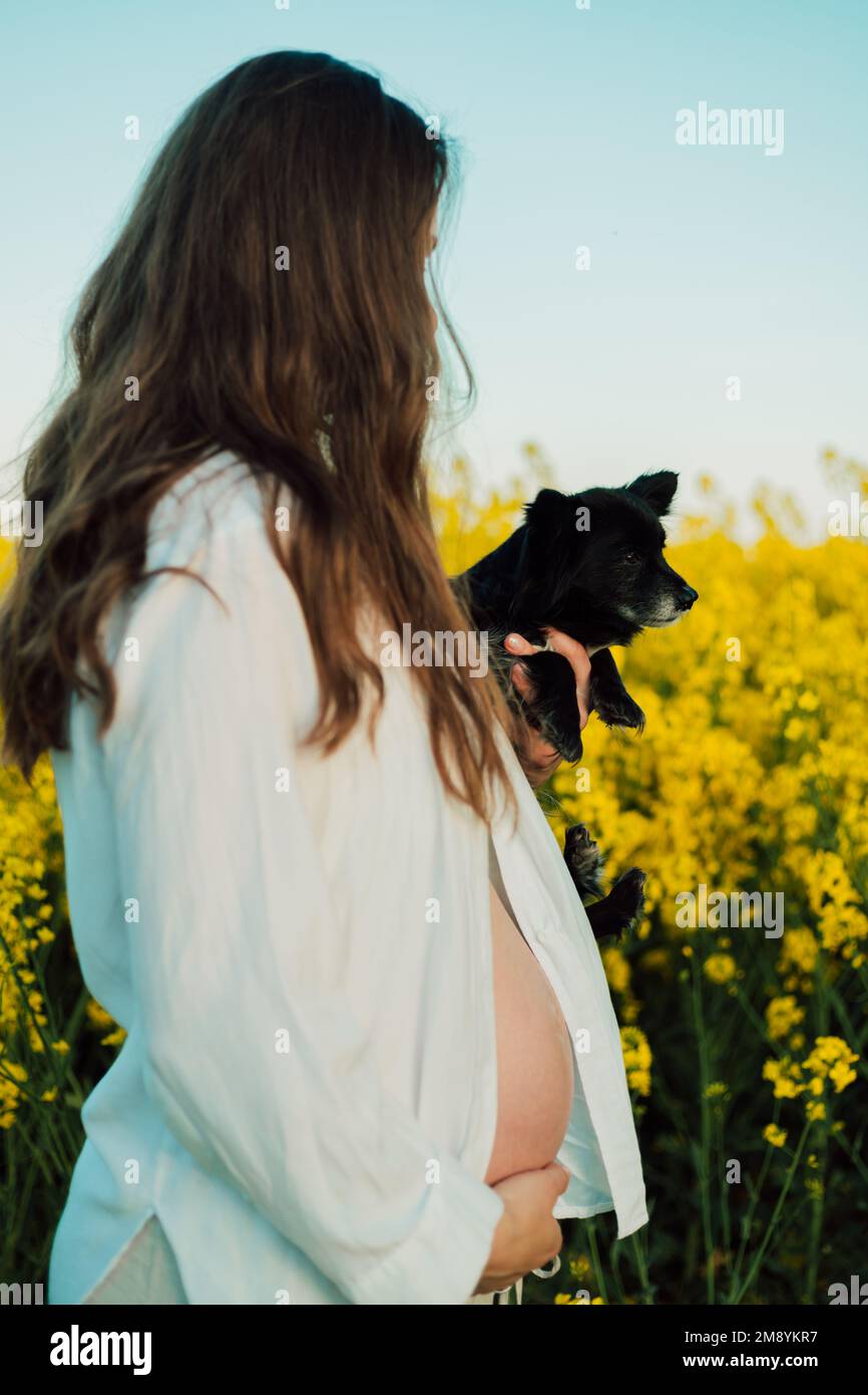 Une femme enceinte avec un petit chien noir dans la nature. Champ de colza Banque D'Images