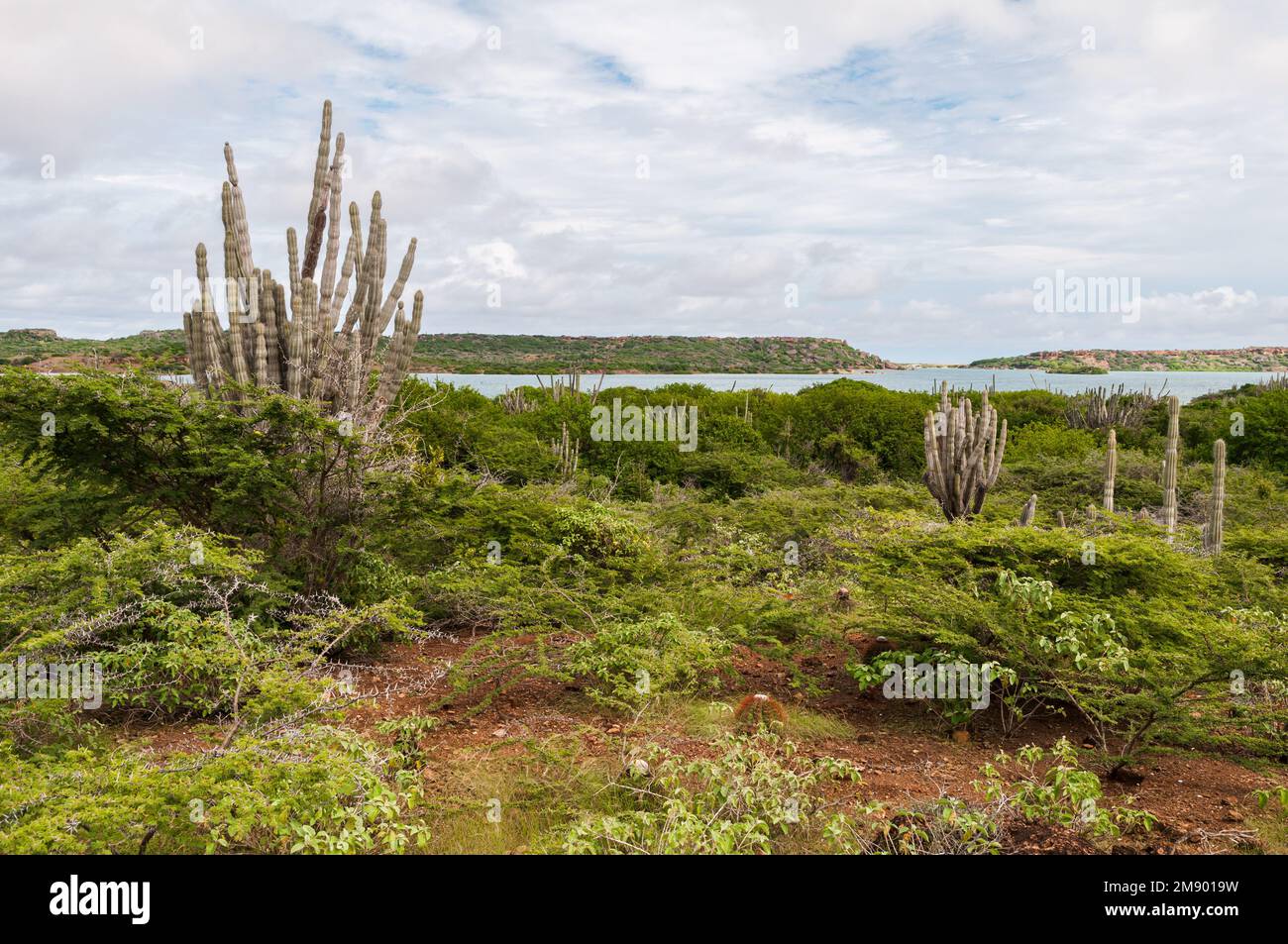 Vue panoramique sur la rue Joris Bay sur l'île des caraïbes Curaçao. Banque D'Images