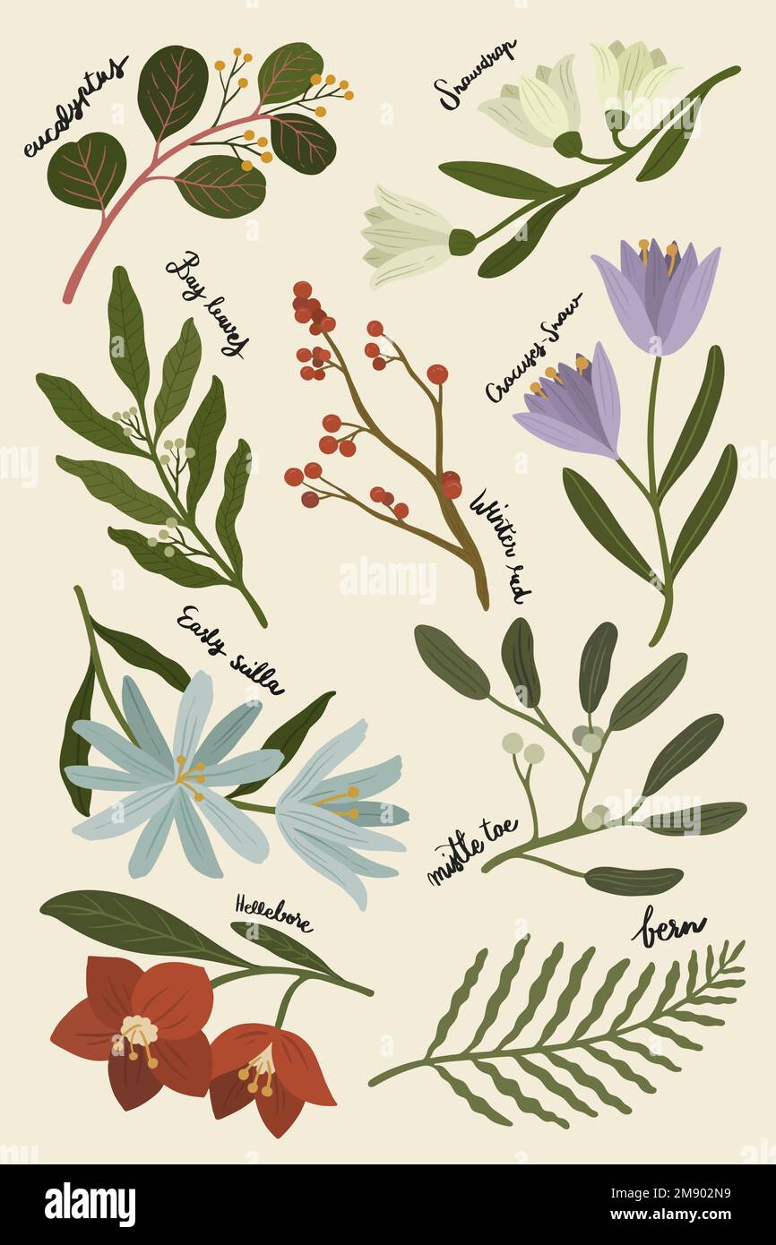 Illustration des plantes hivernales sur fond beige du téléphone Illustration de Vecteur