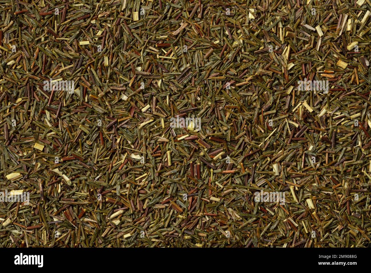 Les feuilles de thé Rooibos vertes séchées et non fermentées de l'Afrique du Sud se rapprochent du plein cadre comme arrière-plan Banque D'Images