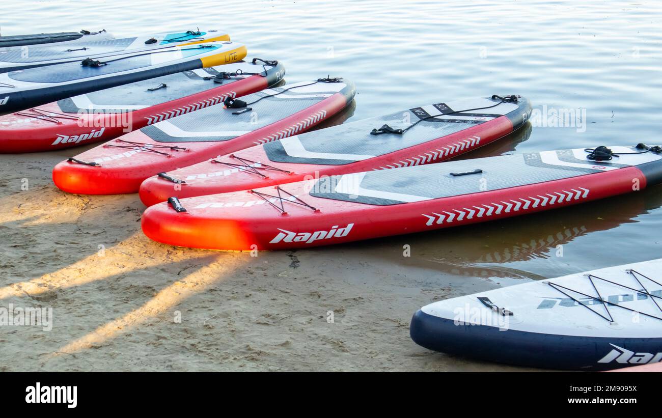 Les panneaux SUP vides oscillent sur les vagues d'une rivière ou d'un lac calme. Sports nautiques. Beaucoup de planches à la boutique de location, le soleil reflétant les ondulations de la Banque D'Images