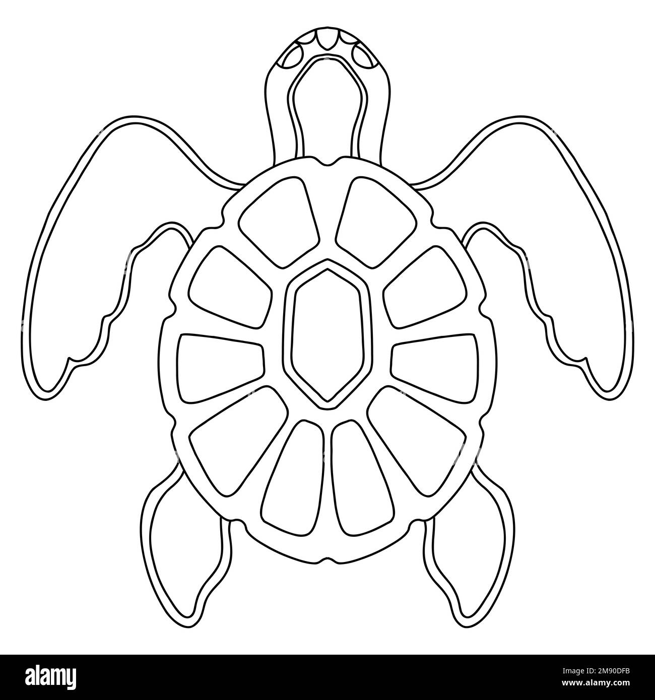 Motif tortue de mer. Illustration du vecteur de caniche dessiné à la main. Modèle avec formes simples pour créer une couleur décorative complexe. Front tortue de mer Illustration de Vecteur