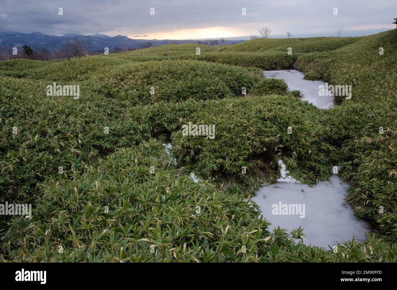 Étangs gelés dans le lac Shiretoko Goko. Parc national de Shiretoko. Péninsule de Shiretoko. Hokkaido. Japon. Banque D'Images