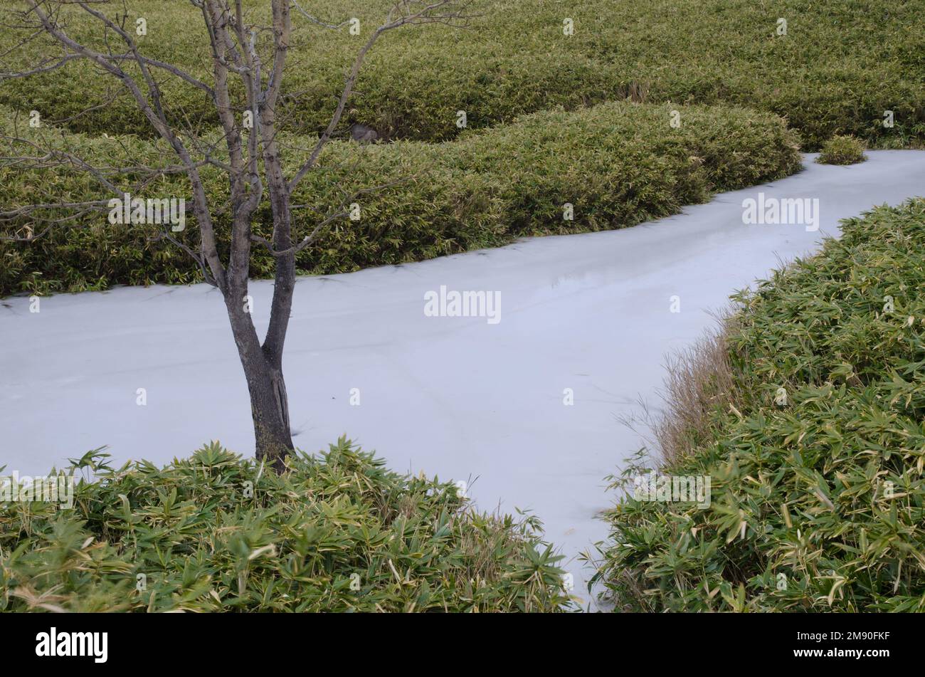 Étang gelé dans le lac Shiretoko Goko. Parc national de Shiretoko. Péninsule de Shiretoko. Hokkaido. Japon. Banque D'Images
