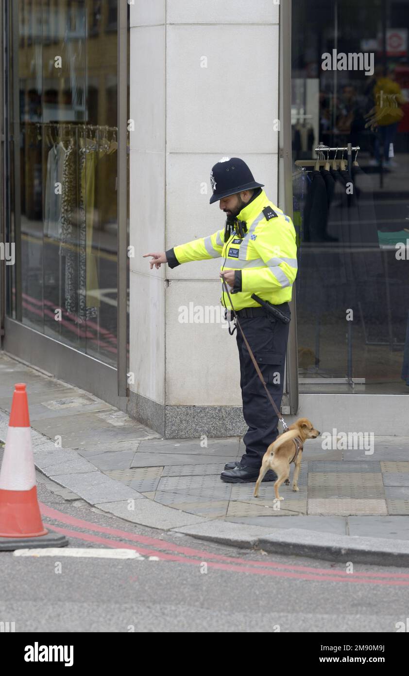 Londres, Angleterre, Royaume-Uni. Policier à Knightsbridge avec un très petit chien (qui s'était échappé de son propriétaire - il y avait rapidement revisité) sur le .. Banque D'Images