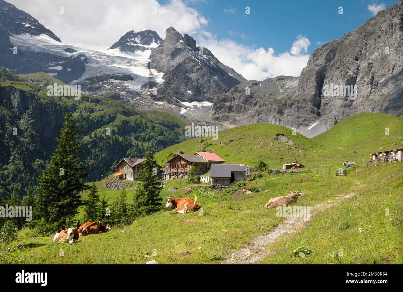 La vallée de Hineres Lauterbrunnental avec le pic de Wetterlucke - Obersteinberg. Banque D'Images