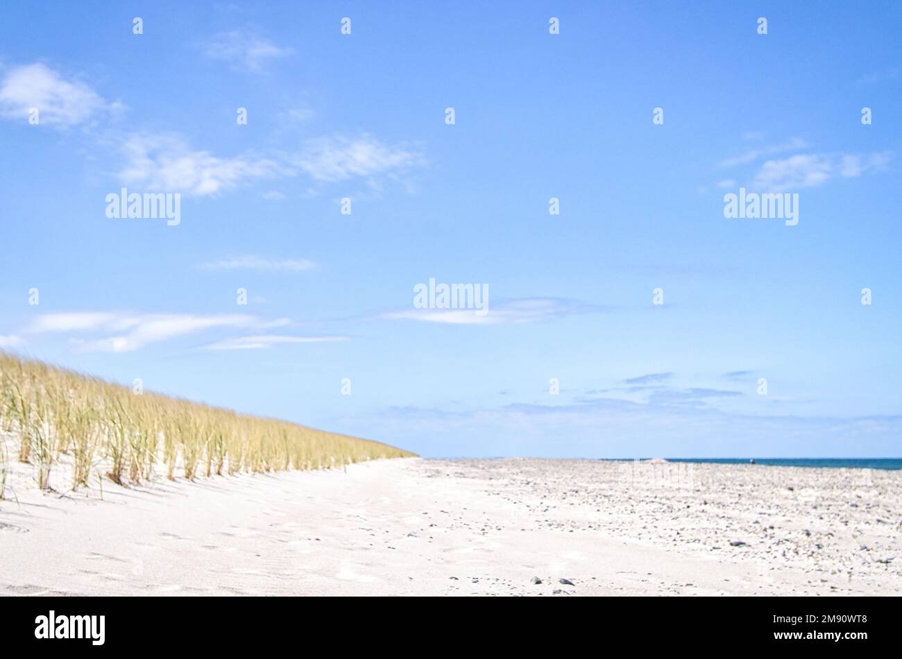 Dune sur la plage de la mer Baltique avec de l'herbe de dune. Plage de sable blanc sur la côte. Ciel bleu. Paysage de la nature Banque D'Images