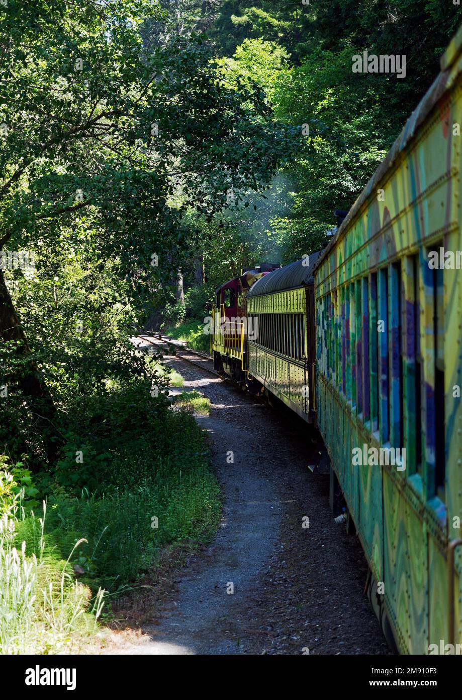 Mendocino Railway (le Skunk train), est un chemin de fer patrimonial dans le comté de Mendocino, Californie avec cette ligne de fort Bragg le long de Pudding Creek. Banque D'Images