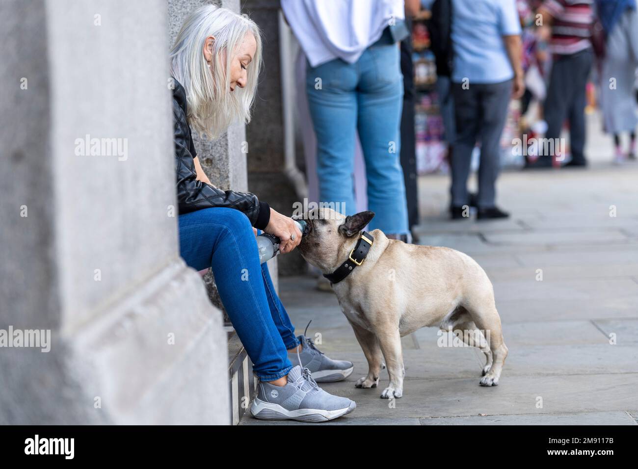 Je donne à un chien une boisson d'eau d'une bouteille, Trafalgar Square, Londres, Royaume-Uni. 11 septembre 2022 Banque D'Images