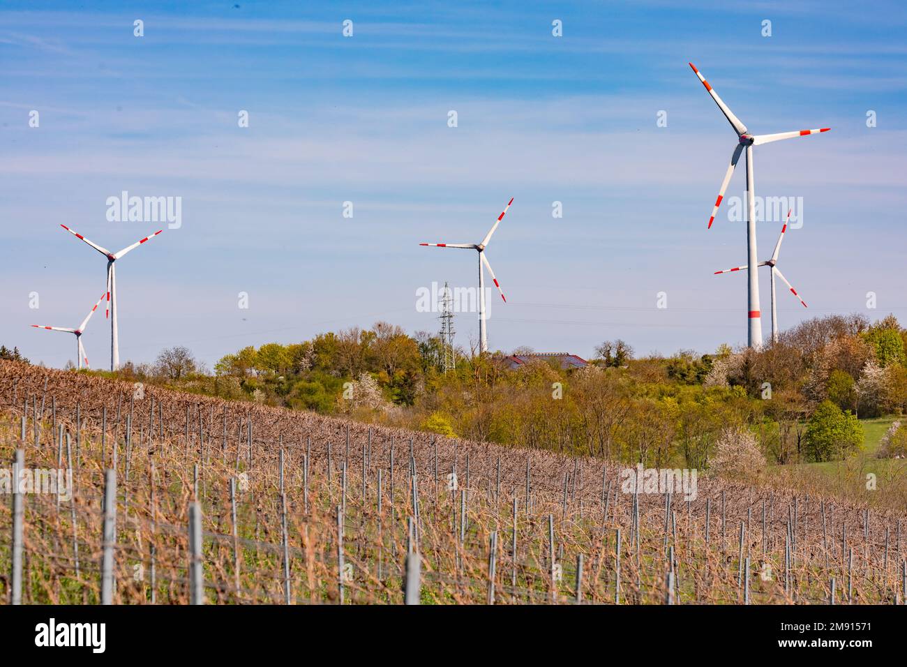 Vignobles devant un parc éolien avec de nombreuses éoliennes pour la transition énergétique en Allemagne Banque D'Images