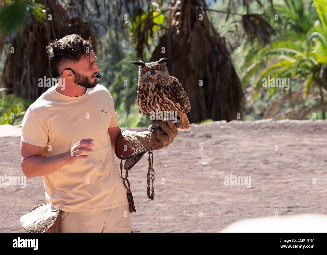 Las Palmas de Gran Canaria, Espagne - 5 novembre 2022: Portrait d'un entraîneur d'oiseaux sauvages tenant un oiseau de proie vautour en plein air dans le parc de Palmitos Banque D'Images
