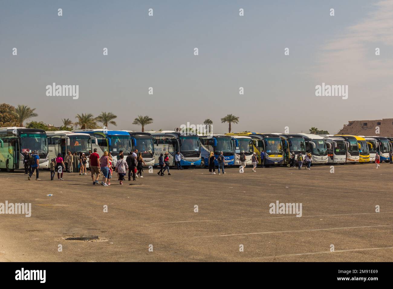 LOUXOR, ÉGYPTE - 21 FÉVRIER 2019 : bus touristiques en face du temple de Karnak, Égypte Banque D'Images