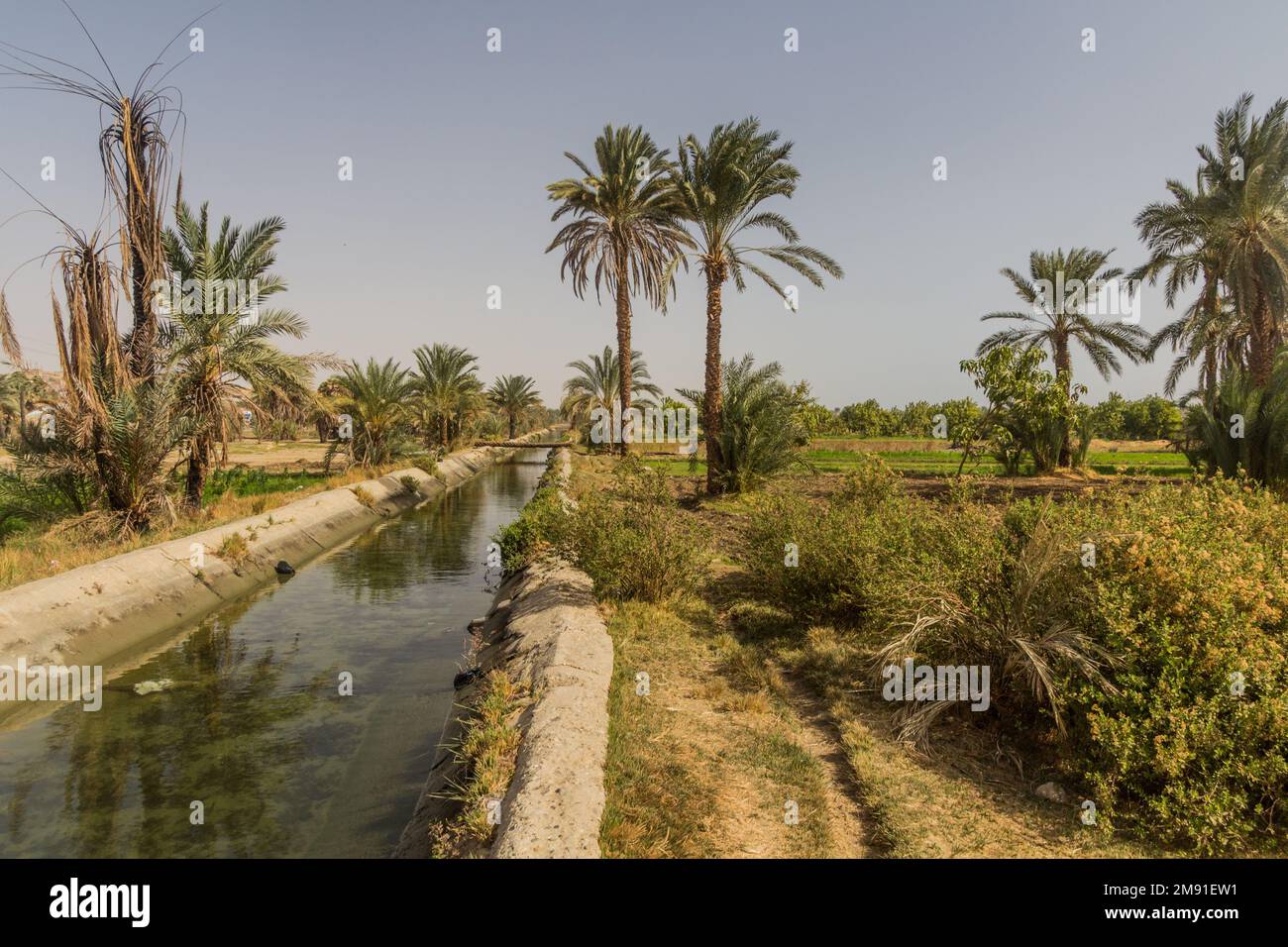 Canal d'irrigation par le Nil, Égypte Banque D'Images