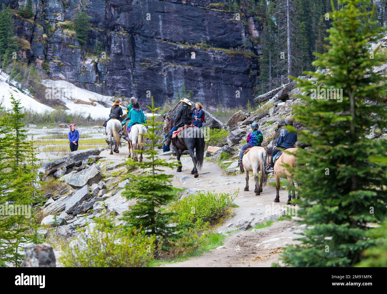 Trekking à cheval, Lake Louise, Alberta, Canada Banque D'Images