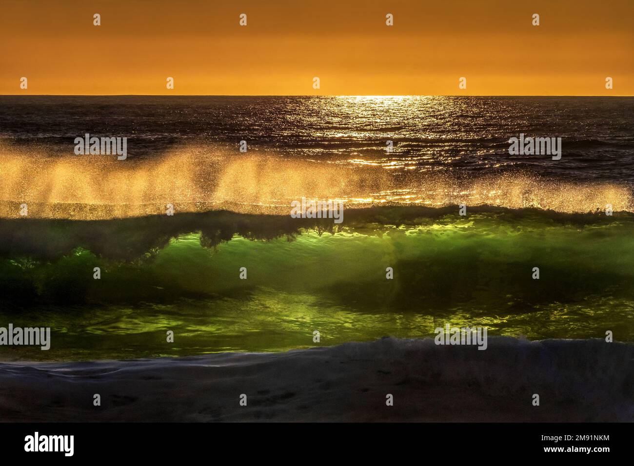 Todos Santos, Baja California sur, Mexique, vague de crevasses, surf, La vague s'illumine au coucher du soleil, sur l'océan Pacifique Banque D'Images