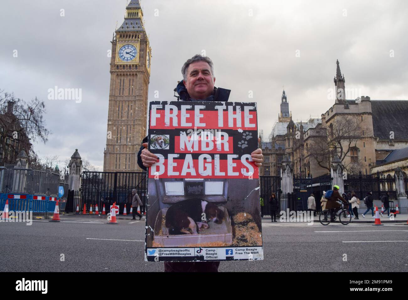 Londres, Angleterre, Royaume-Uni. 16th janvier 2023. DOMINIC DYER, militant pour les droits des animaux et conservateur, de Born Free, détient une étiquette « Free the MBR beagles ». Les militants des droits des animaux ont organisé une manifestation sur la place du Parlement avant le débat gouvernemental sur une pétition appelant à la fin de la reproduction commerciale des animaux pour les laboratoires et à la fin des expériences animales. (Credit image: © Vuk Valcic/ZUMA Press Wire) USAGE ÉDITORIAL SEULEMENT! Non destiné À un usage commercial ! Banque D'Images