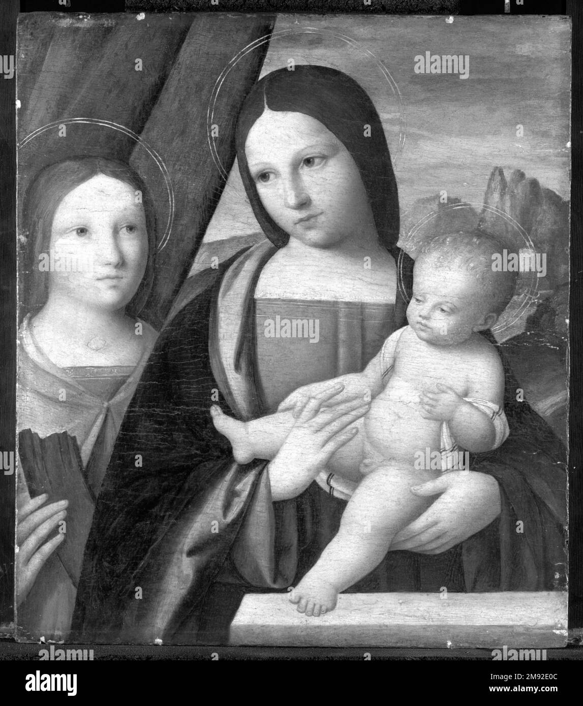 Madonna et l'enfant avec Sainte Catherine d'Alexandrie Niccolò Pisano (Italien, Pisan et Ferrarese Ecoles, documenté 1470-ca. 1538). Madonna et l'enfant avec Sainte Catherine d'Alexandrie, 1510-1515. Température et huile sur le panneau, 17 x 14 7/8 in. (43,2 x 37,8 cm). Art européen 1510-1515 Banque D'Images