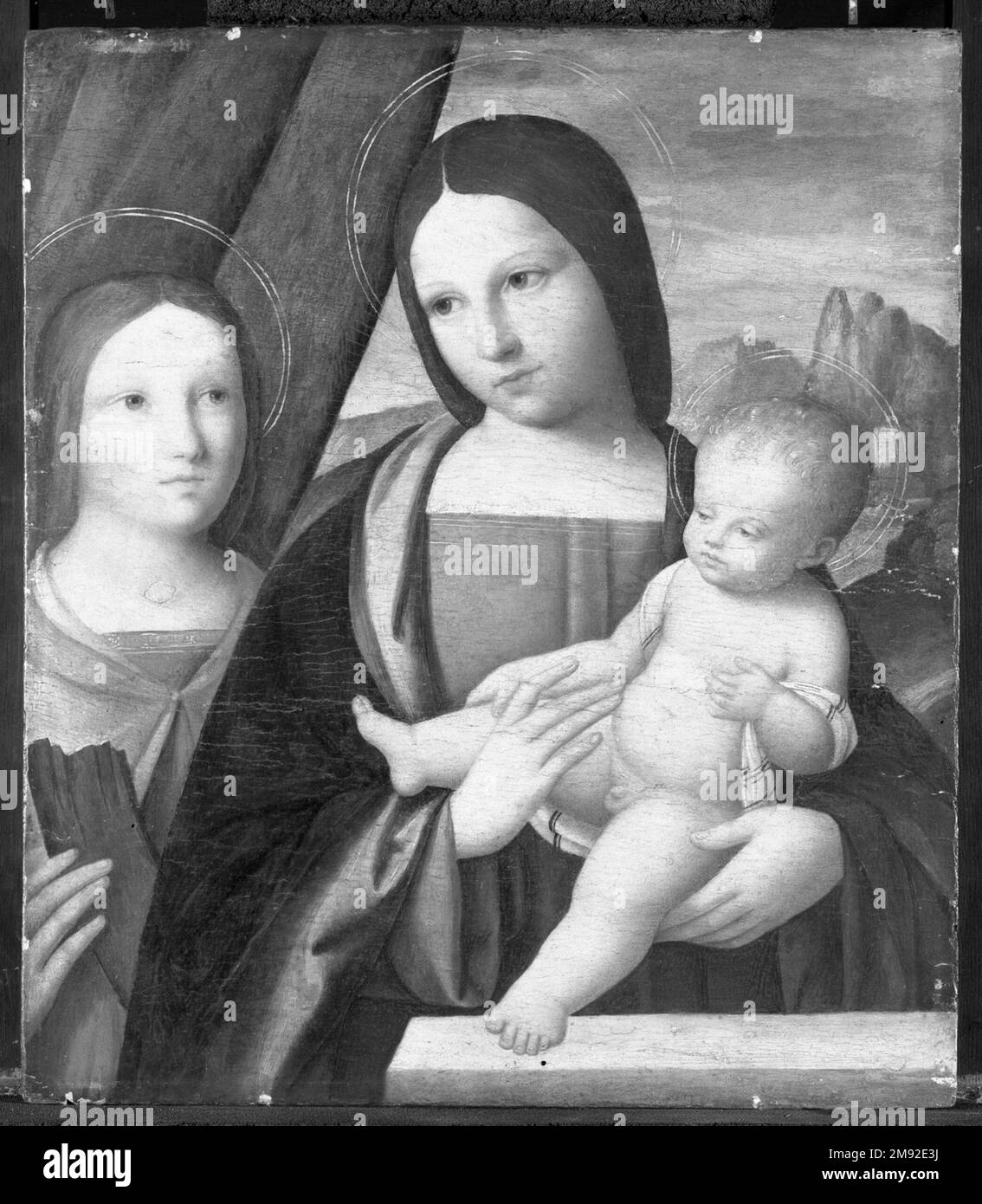 Madonna et l'enfant avec Sainte Catherine d'Alexandrie Niccolò Pisano (Italien, Pisan et Ferrarese Ecoles, documenté 1470-ca. 1538). Madonna et l'enfant avec Sainte Catherine d'Alexandrie, 1510-1515. Température et huile sur le panneau, 17 x 14 7/8 in. (43,2 x 37,8 cm). Art européen 1510-1515 Banque D'Images