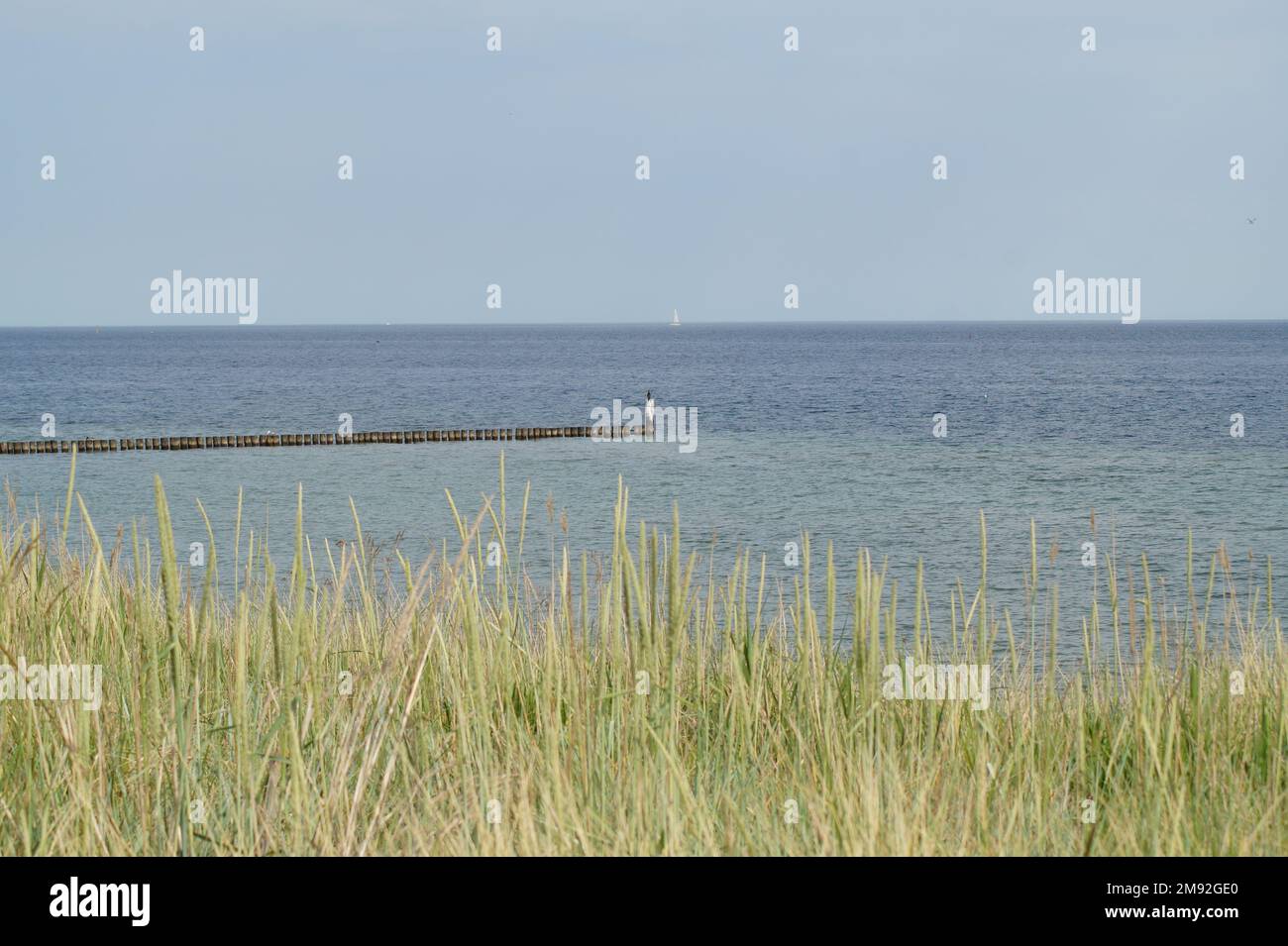 La vue sur la mer Baltique Banque D'Images